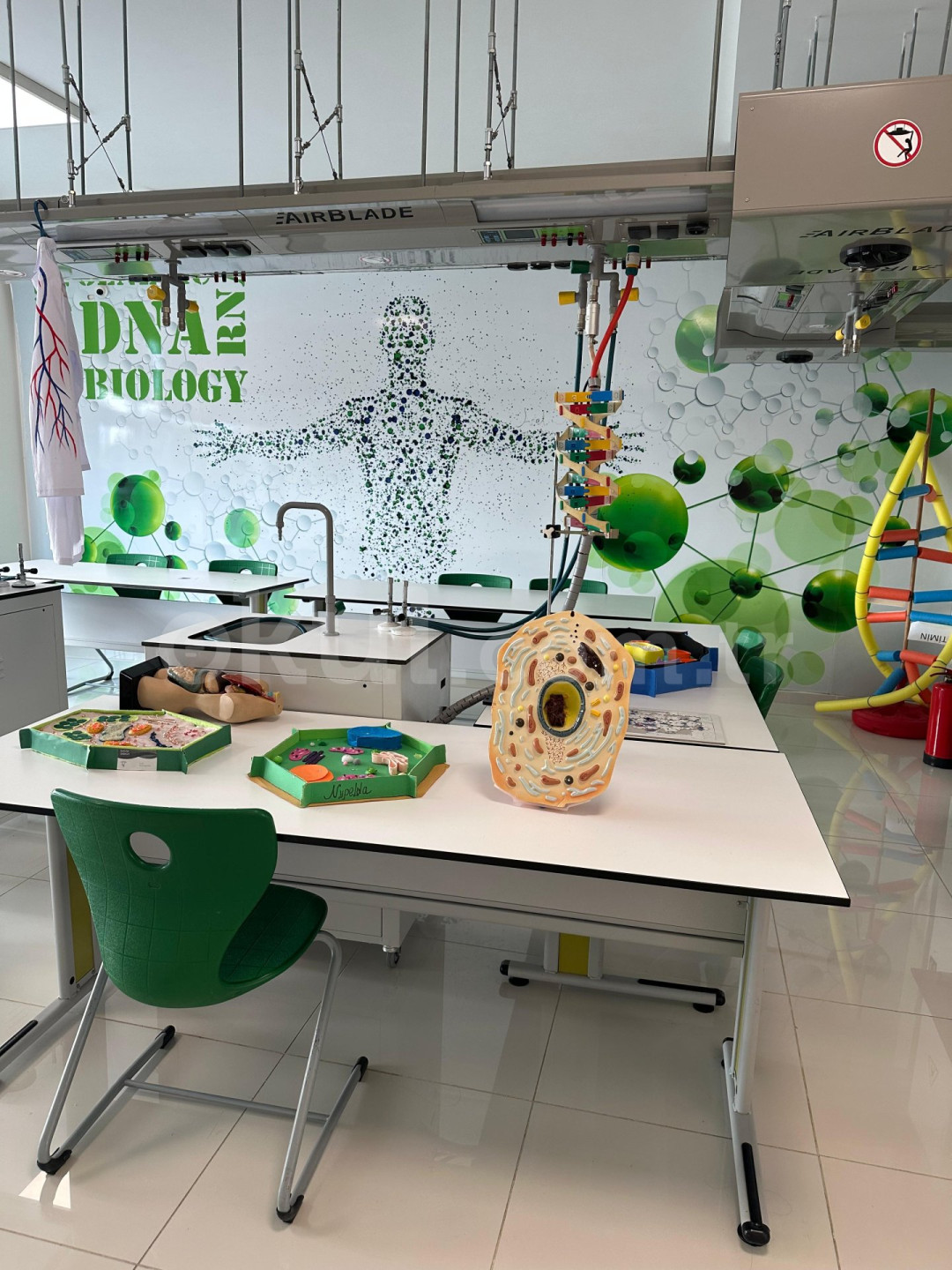 Özel Alanya Girne Koleji Anadolu Lisesi - 5