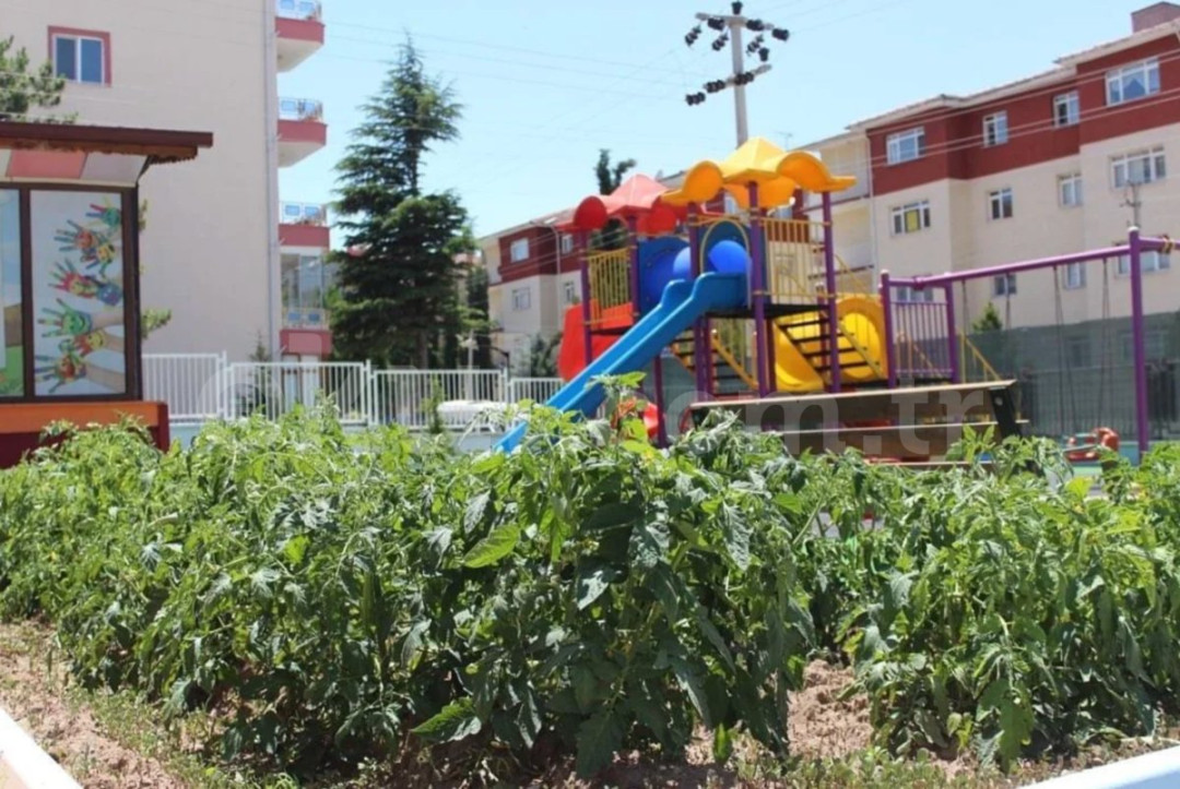 Özel Sincan Kanguru Okulları İlkokulu - 2