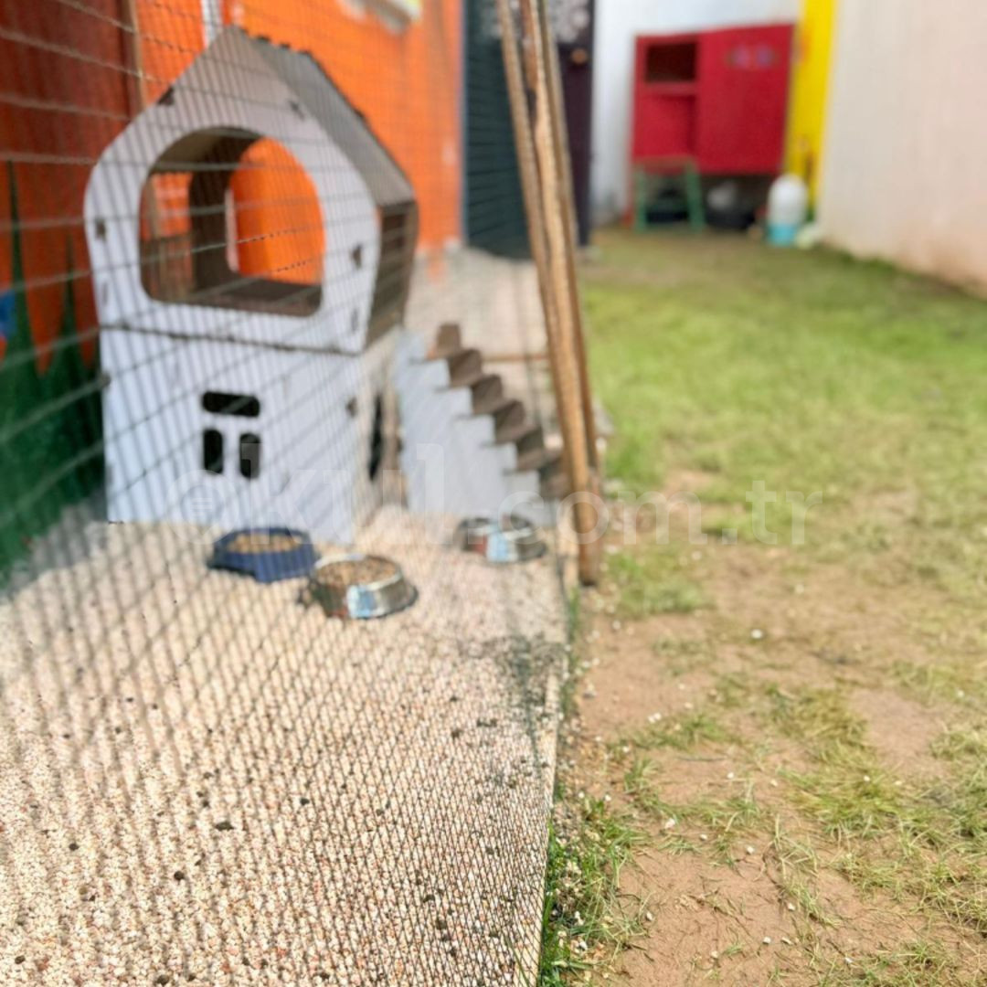 Özel Başiskele Küçük Tohumlar Anaokulu - 8