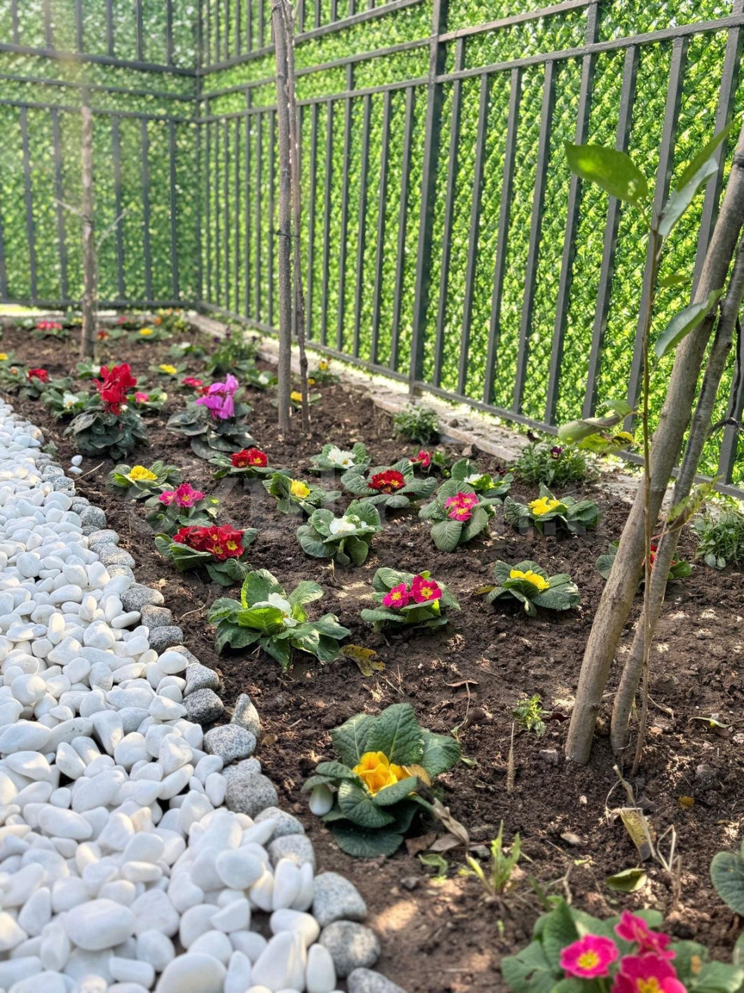 Özel Başiskele Küçük Tohumlar Anaokulu - 6