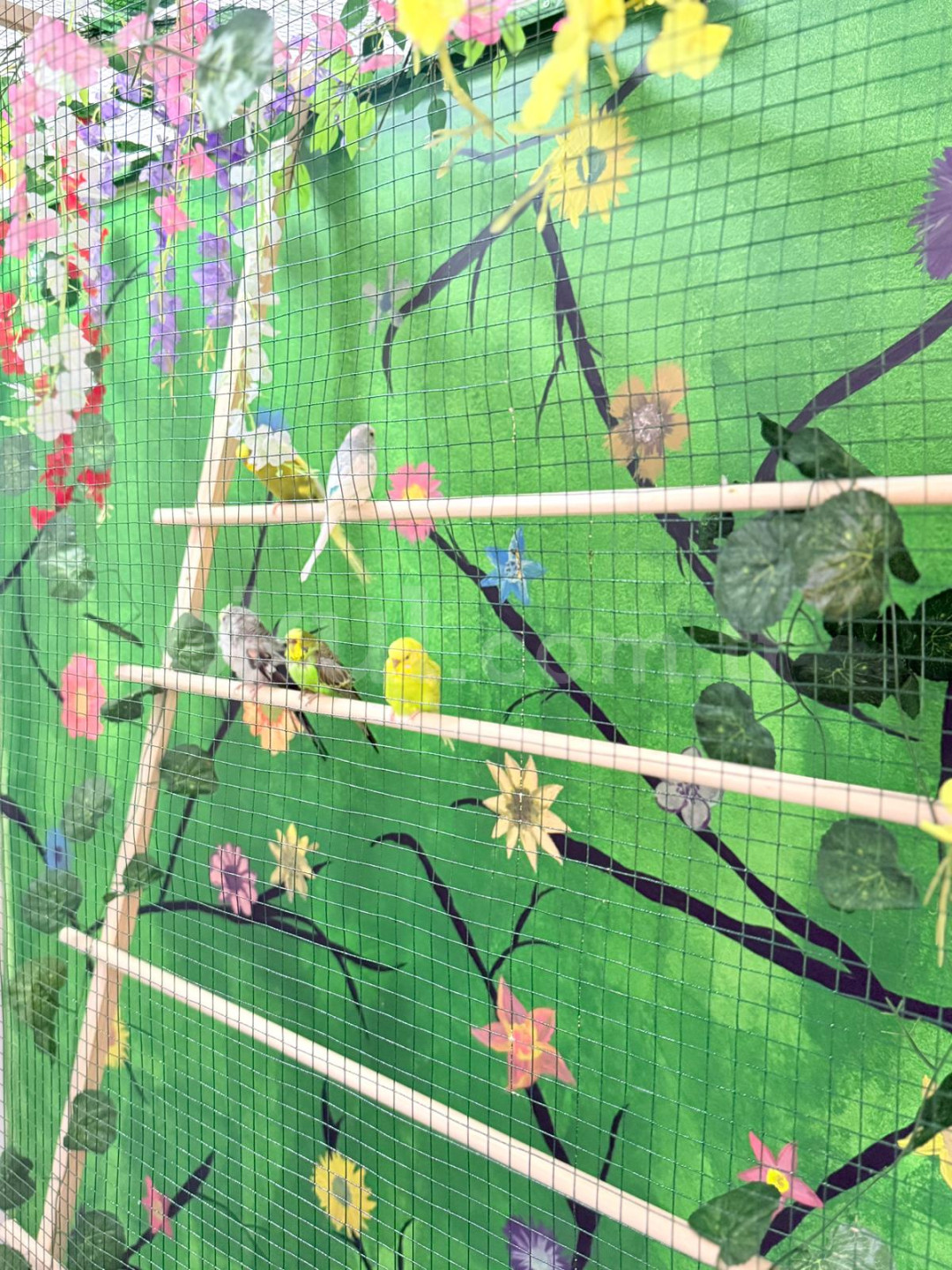 Özel Başiskele Küçük Tohumlar Anaokulu - 5