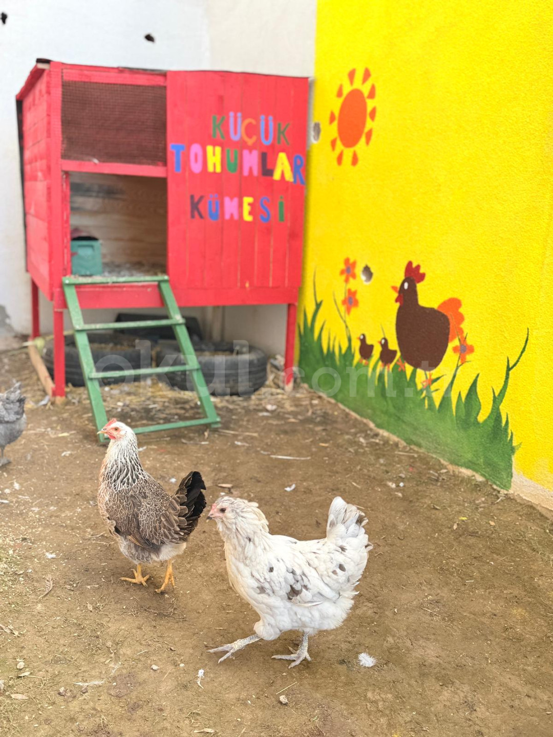 Özel Başiskele Küçük Tohumlar Anaokulu - 11