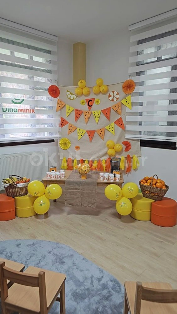 Özel Dinaminik Anaokulu - 4