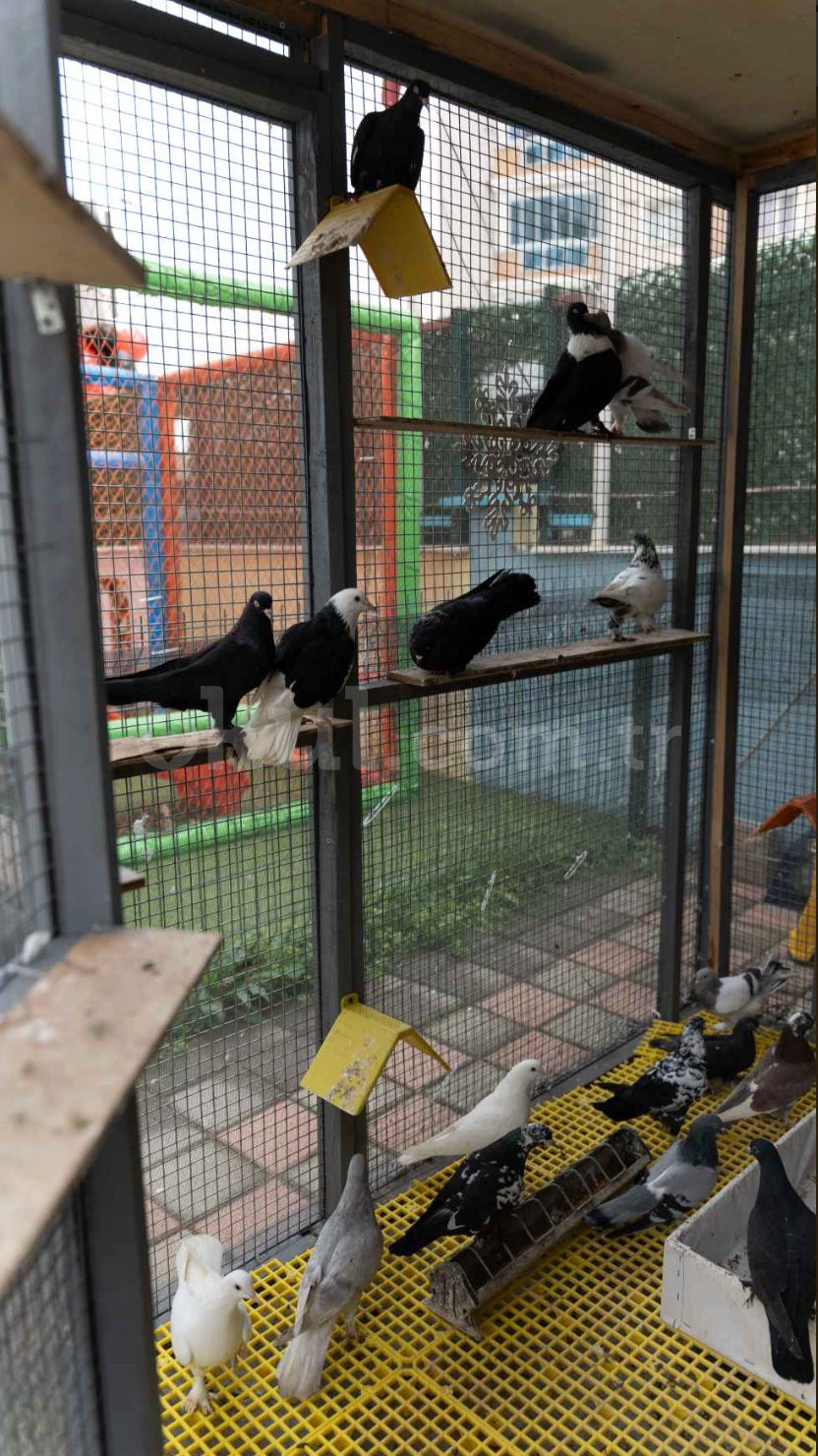 Özel Uğurlu Çocuklar Anaokulu - 9