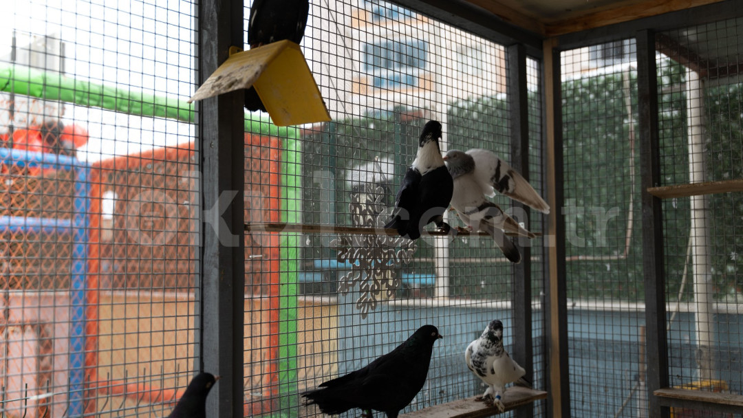 Özel Uğurlu Çocuklar Anaokulu - 37