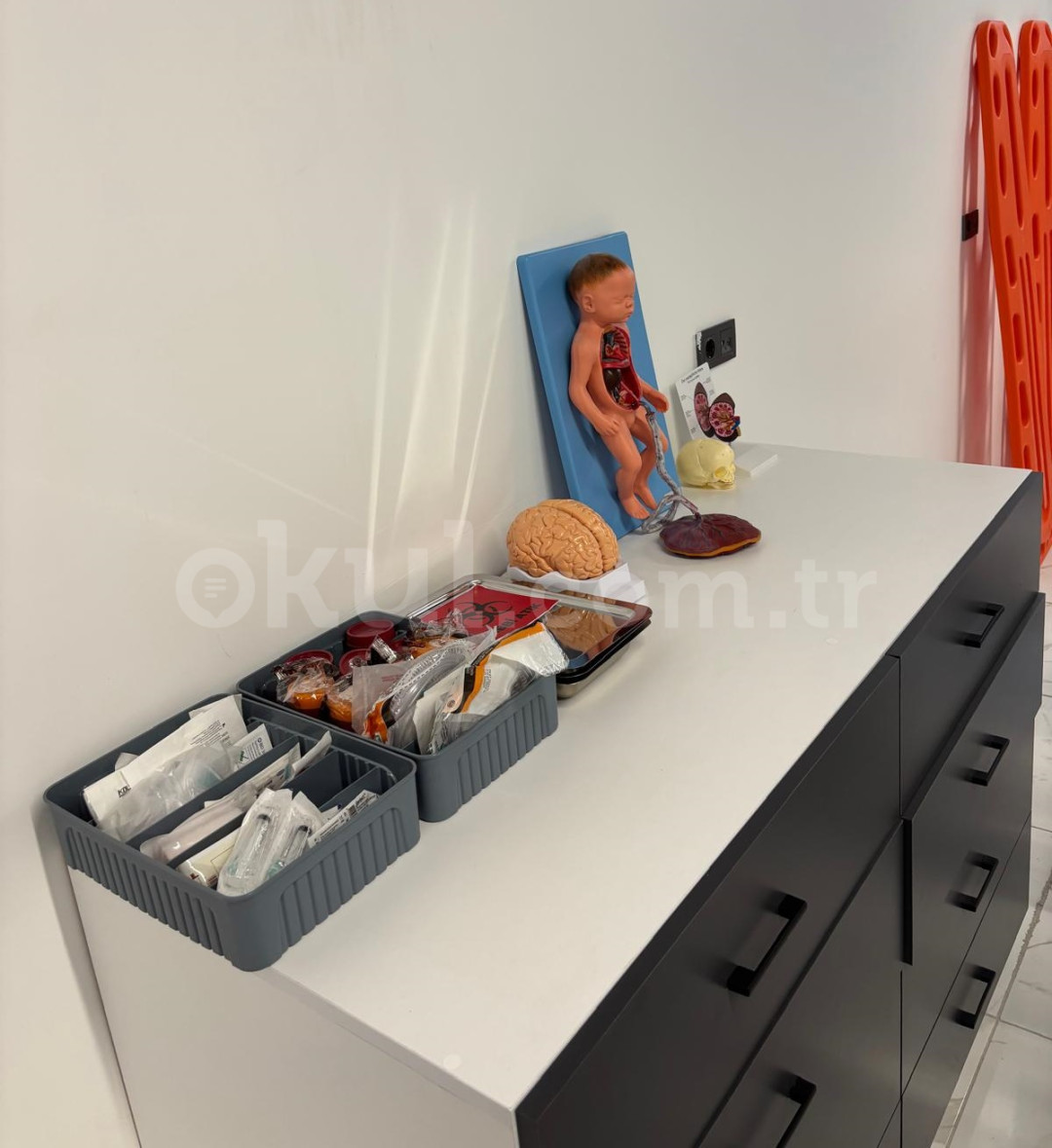 Özel SEM Sağlık Mesleki ve Teknik Anadolu Lisesi - 2