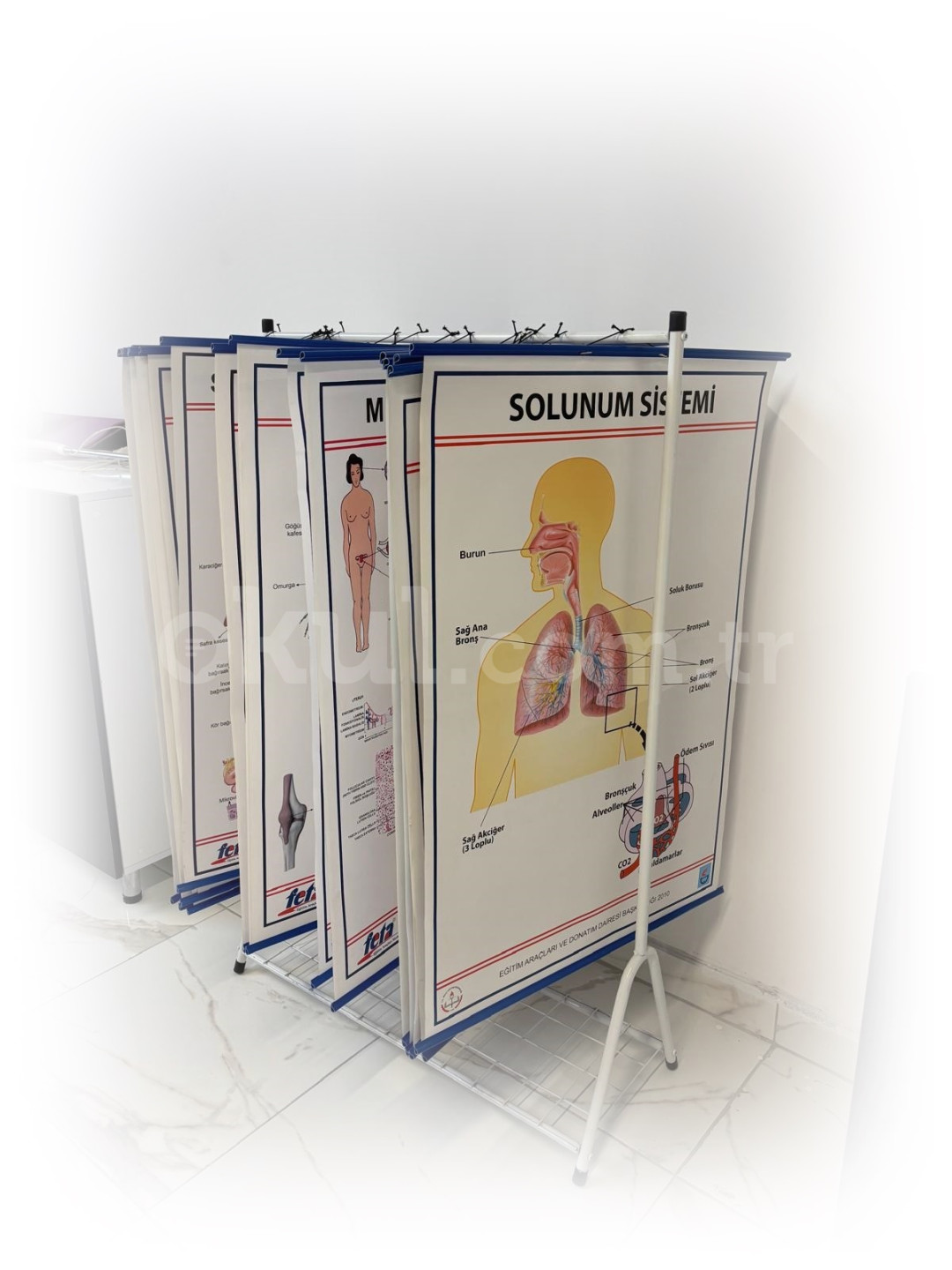 Özel SEM Sağlık Mesleki ve Teknik Anadolu Lisesi - 8