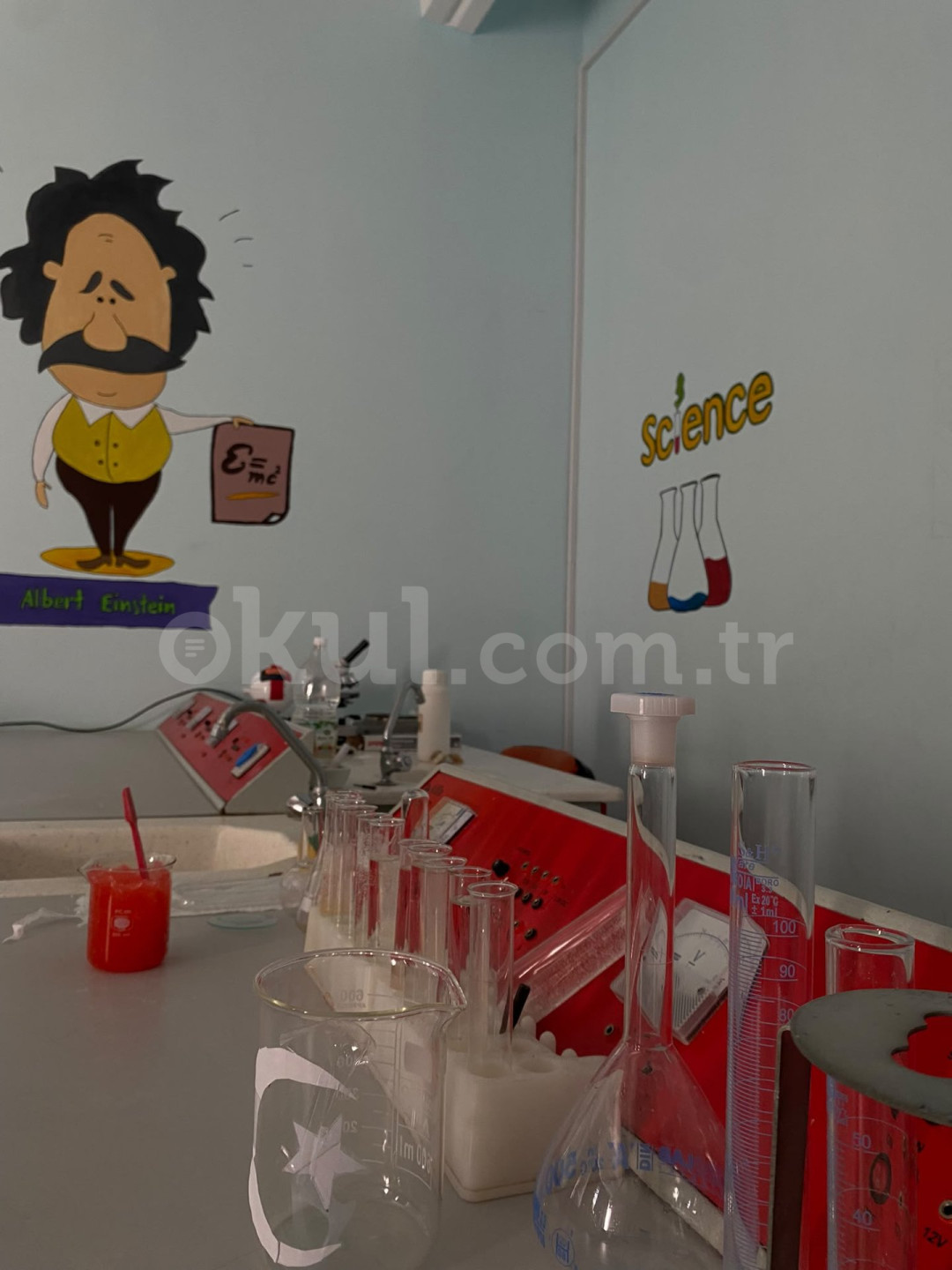 Özel İstanbul Lider Koleji Gemlik İlkokulu - 2