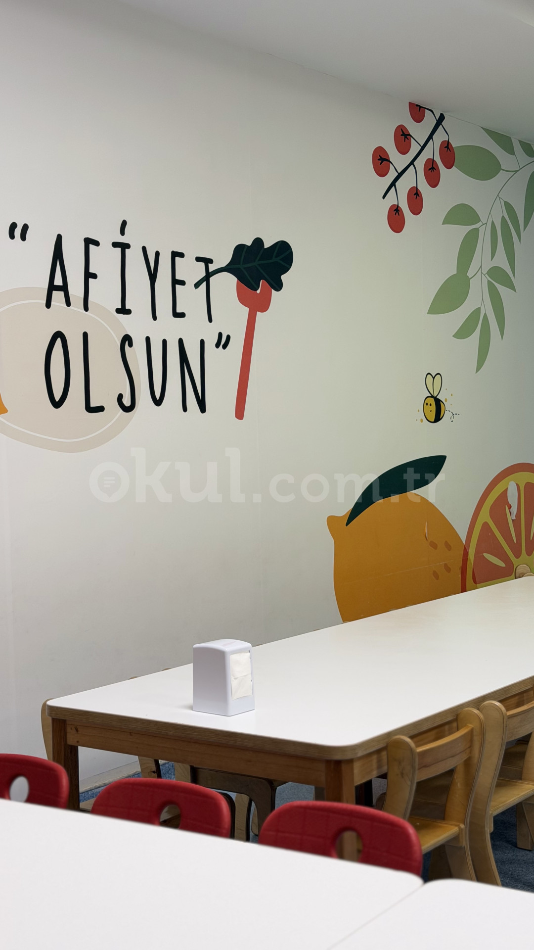 Özel Beylikdüzü Bil Koleji Anaokulu - 18