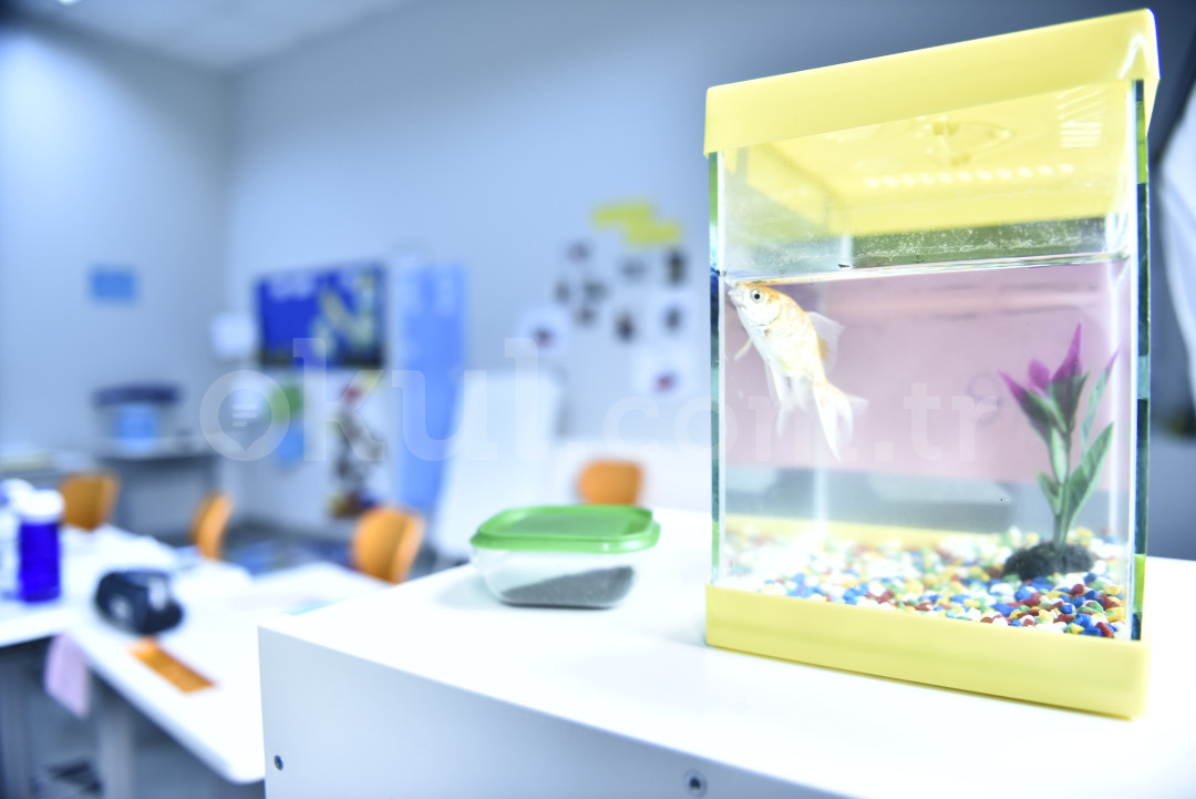 Özel Pakkan Okulları Anaokulu - 2