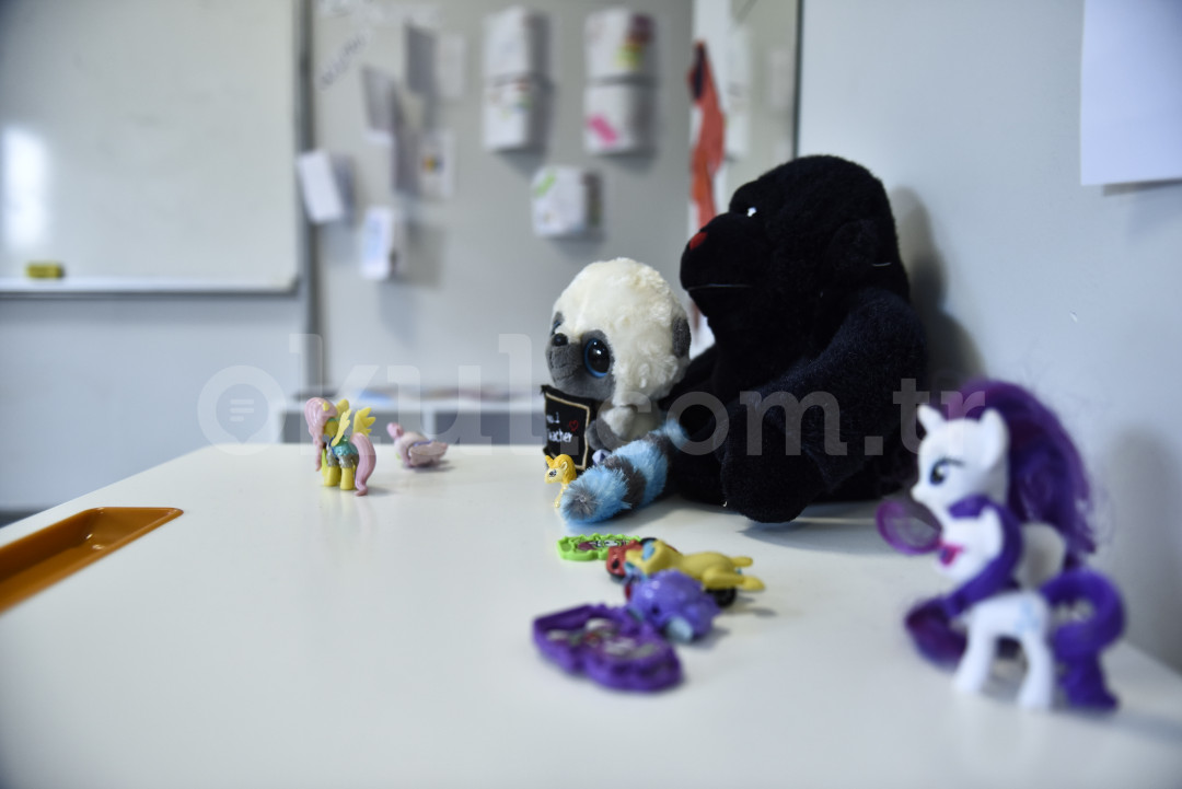 Özel Pakkan Okulları İlkokulu - 20