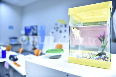 Özel Pakkan Okulları Ortaokulu - 10