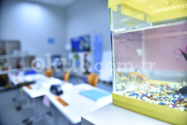 Özel Pakkan Okulları Ortaokulu - 20