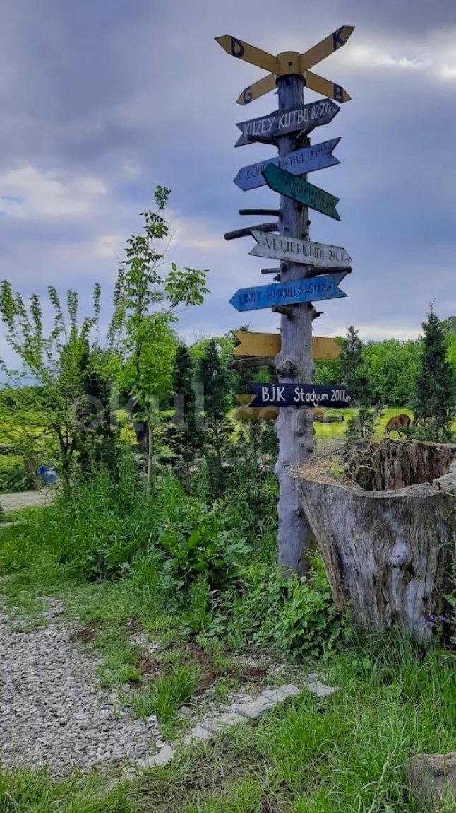Özel Tercan Düşler Anaokulu - 8