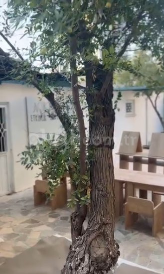 Özel Mersin Akdeniz Anaokulu - 3