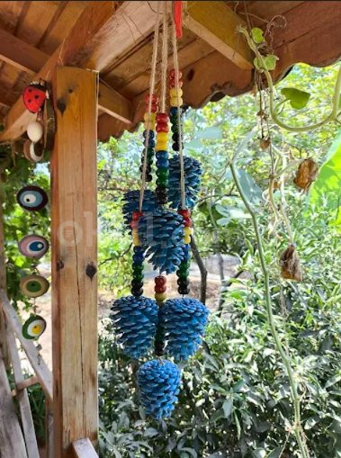 Özel Mersin Orman Anaokulu - 5