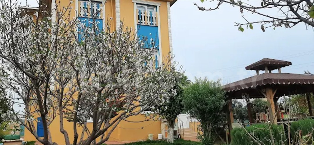 Özel Mersin Orman Anaokulu - 3