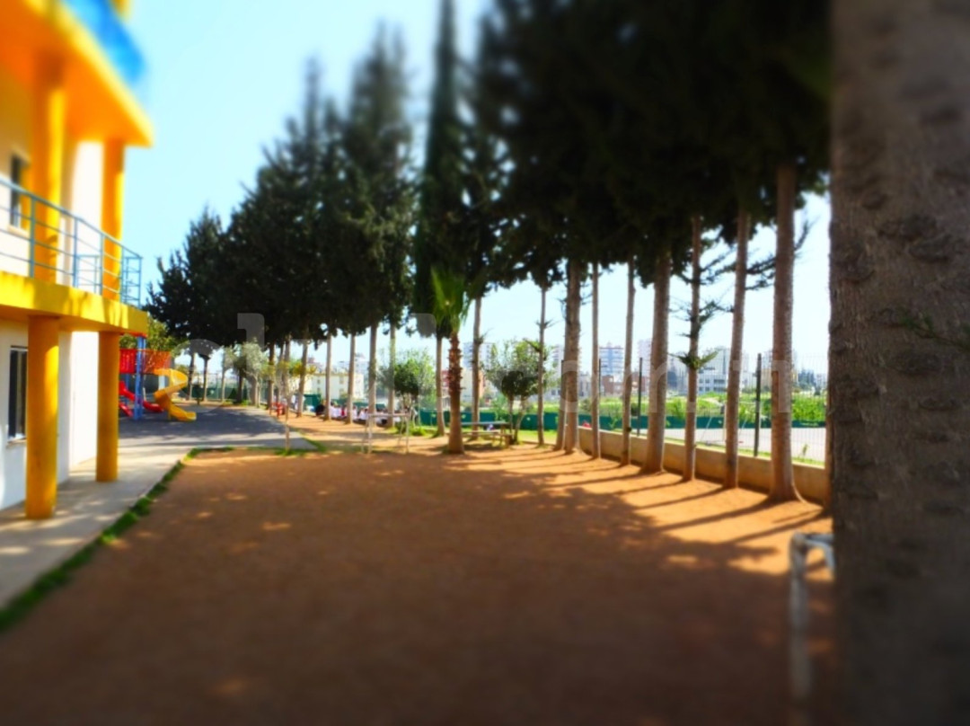 Özel Mersin ODTÜ Geliştirme Vakfı Okulları Anaokulu - 2