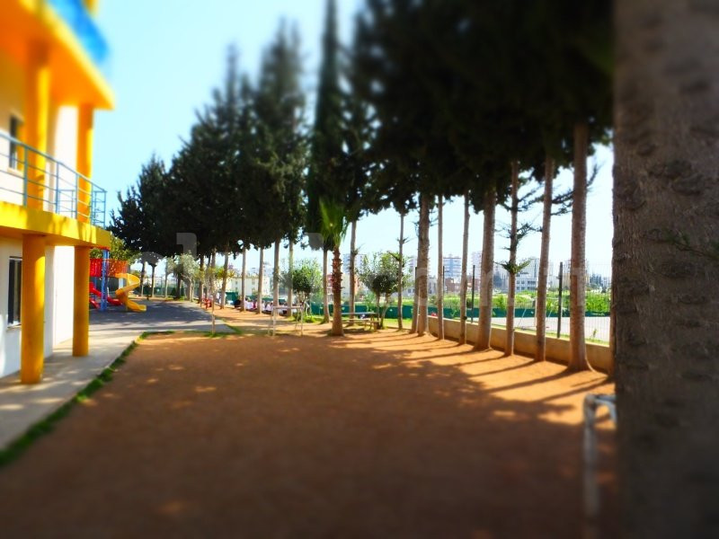 Özel Mersin ODTÜ Geliştirme Vakfı Okulları Ortaokulu - 2