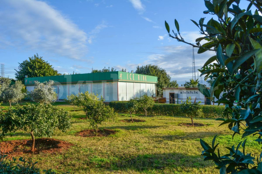 Özel Mersin İSTEK Ortaokulu - 34