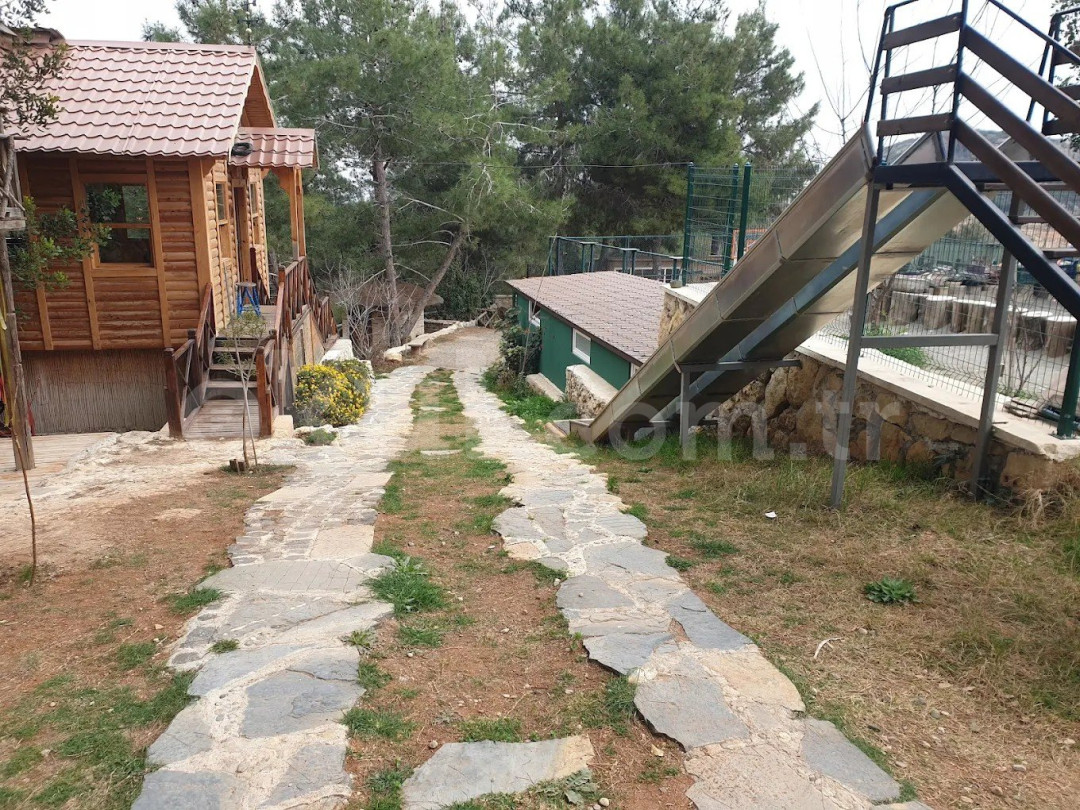 Özel Serpil Orman Okulları Ortaokulu - 17
