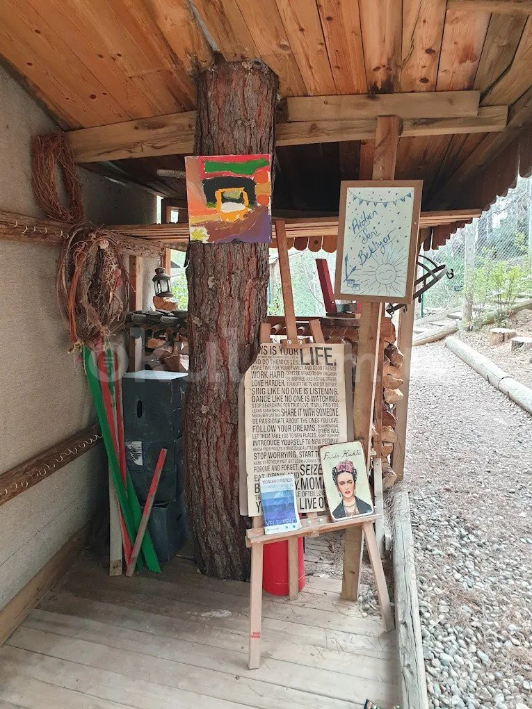 Özel Serpil Orman Okulları Ortaokulu - 42