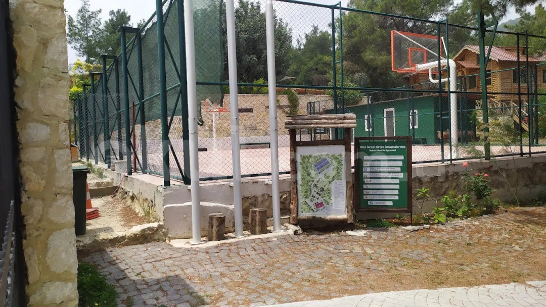 Özel Serpil Orman Okulları Ortaokulu - 6