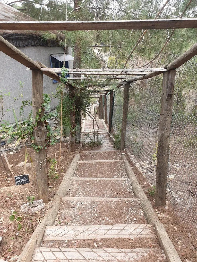 Özel Serpil Orman Okulları Ortaokulu - 35