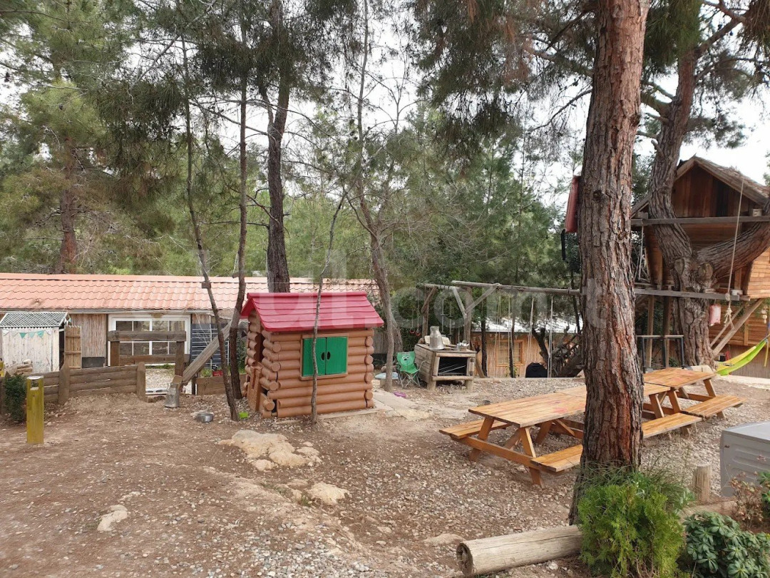 Özel Serpil Orman Okulları Ortaokulu - 63