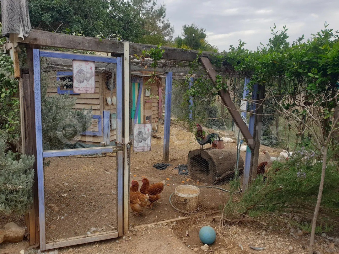 Özel Serpil Orman Okulları Ortaokulu - 64