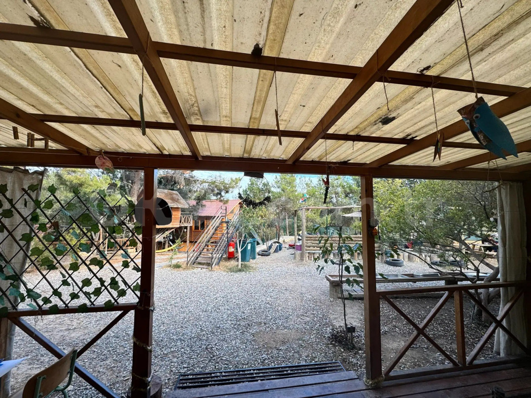 Özel Serpil Orman Okulları Ortaokulu - 39