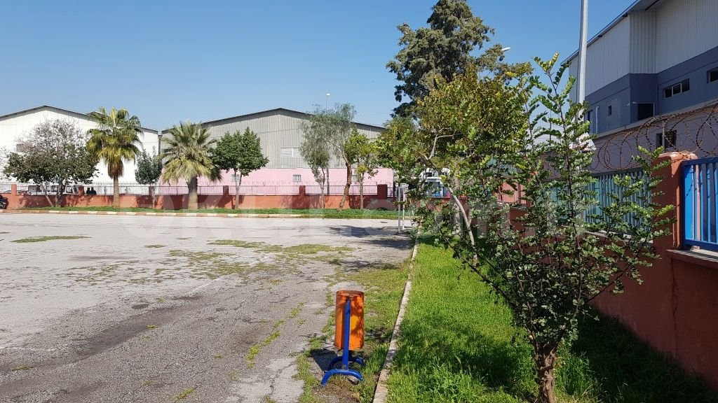Mersin Turgut Özal Ortaokulu - 6