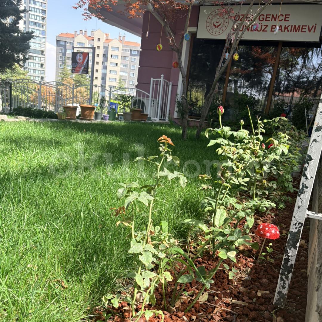 Özel Gence Kreş ve Gündüz Bakımevi - 20