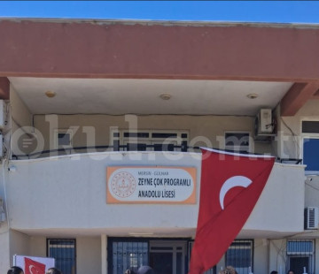 Zeyne Çok Programlı Anadolu Lisesi