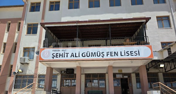 Şehit Ali Gümüş Fen Lisesi - 1