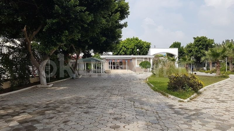 Şehit Erol Olçok İmam Hatip Ortaokulu - 5