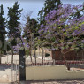 Çukurova İlkokulu