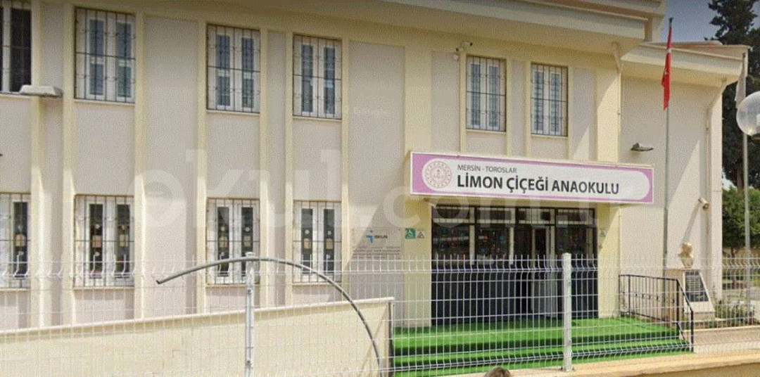 Limonçiçeği Anaokulu