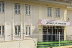 Limonçiçeği Anaokulu