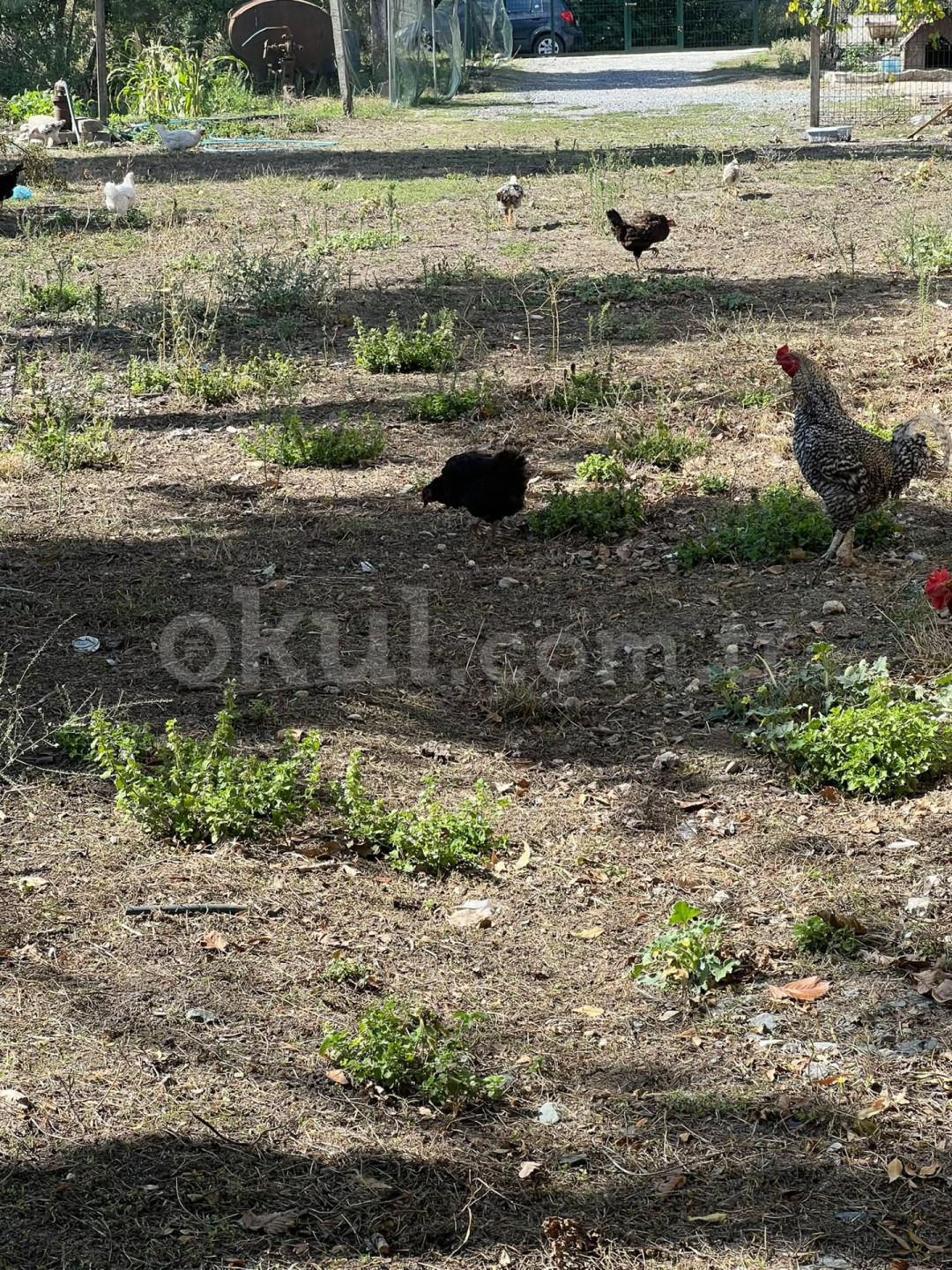 Özel Marina Doğa İzi Anaokulu - 24