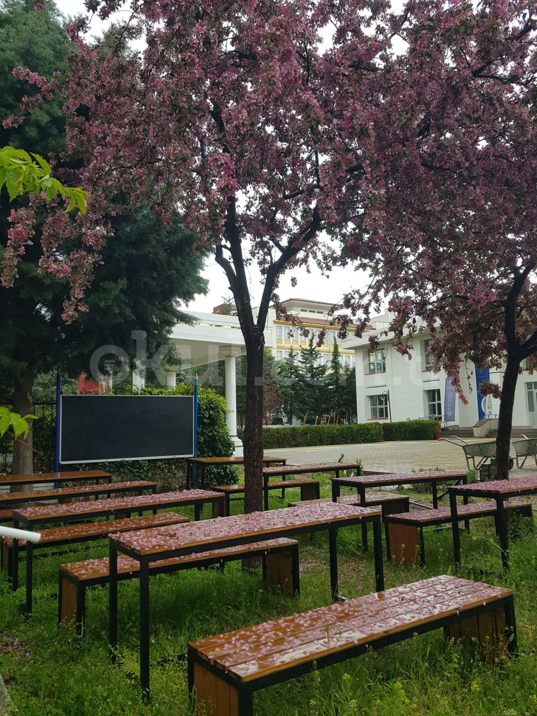 Özel Buse Bilim Koleji İlkokulu - 5