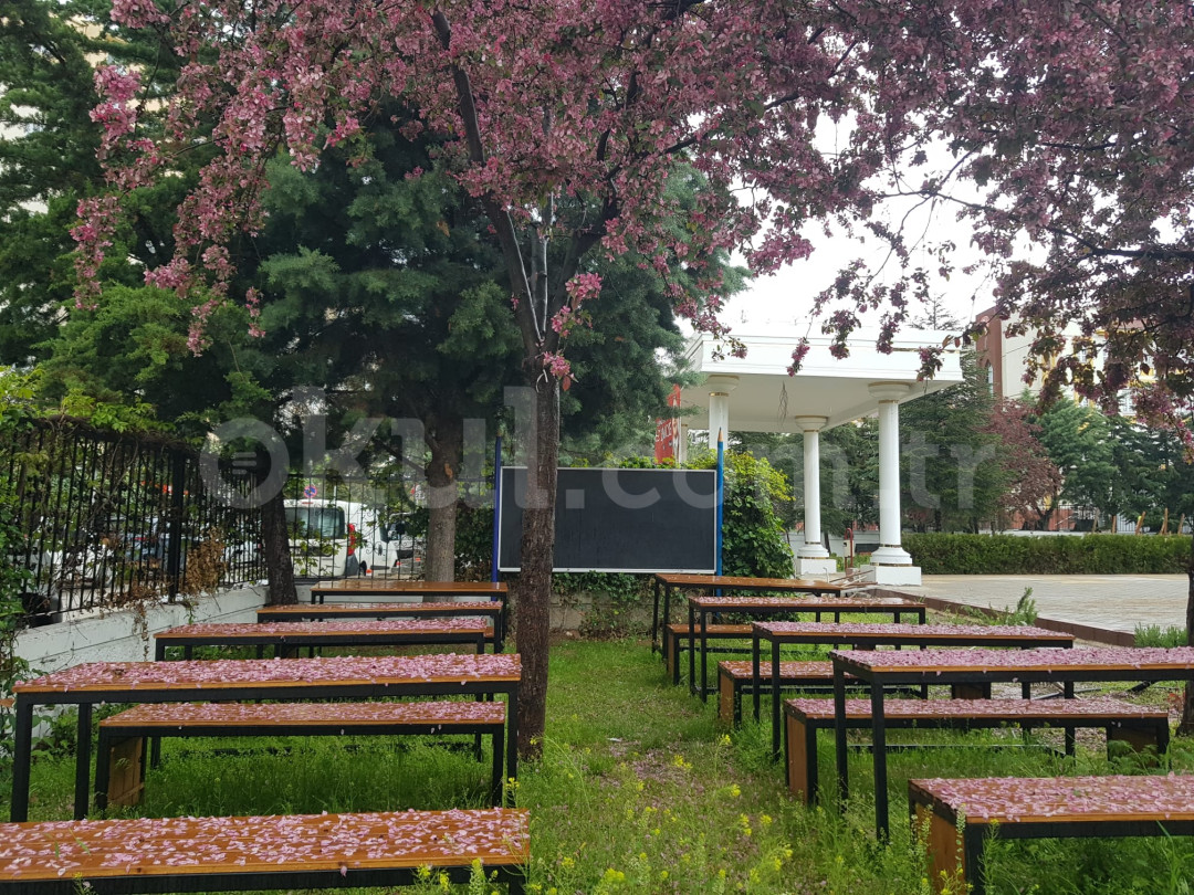 Özel Buse Bilim Koleji İlkokulu - 6