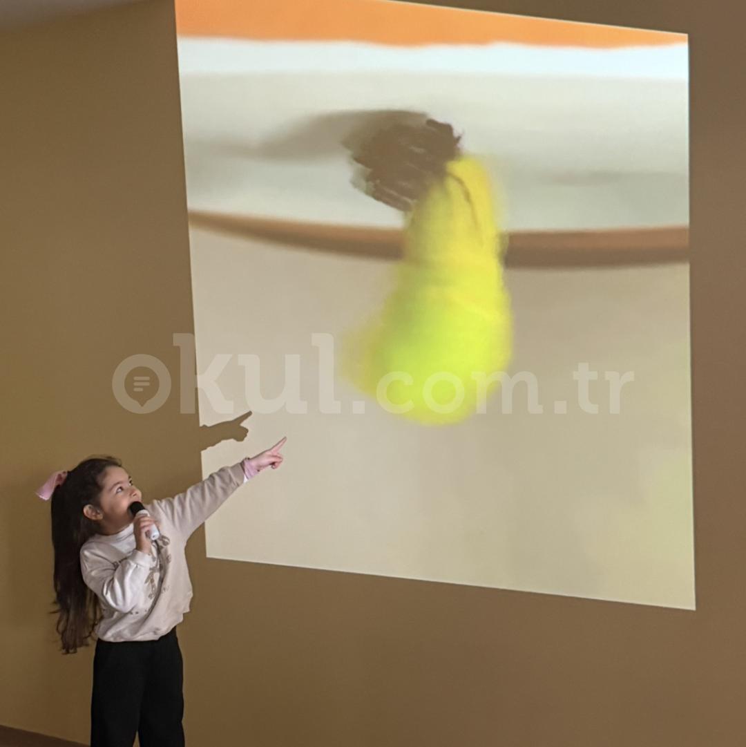 Özel Çankaya Çocuk Dünyası Anaokulu - 40