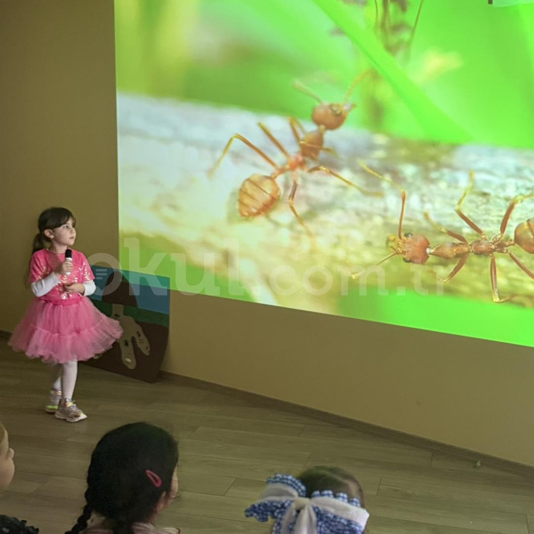 Özel Çankaya Çocuk Dünyası Anaokulu - 43