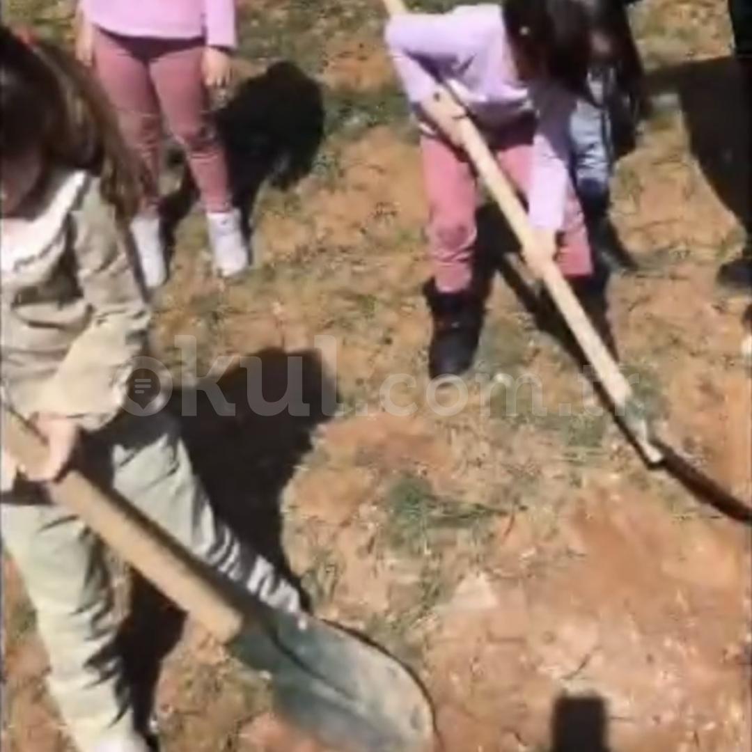 Özel Çankaya Çocuk Dünyası Anaokulu - 32