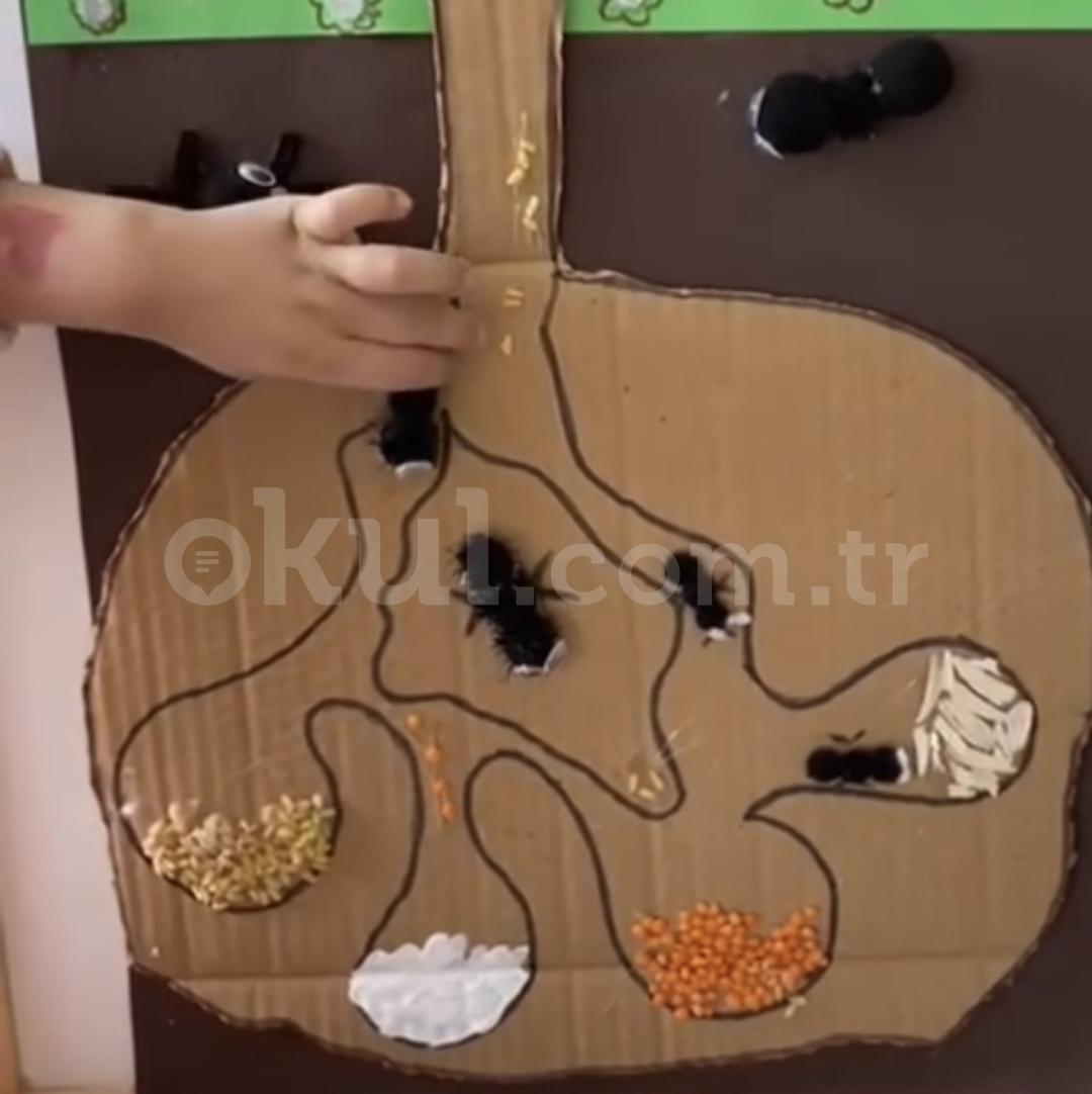 Özel Çankaya Çocuk Dünyası Anaokulu - 30