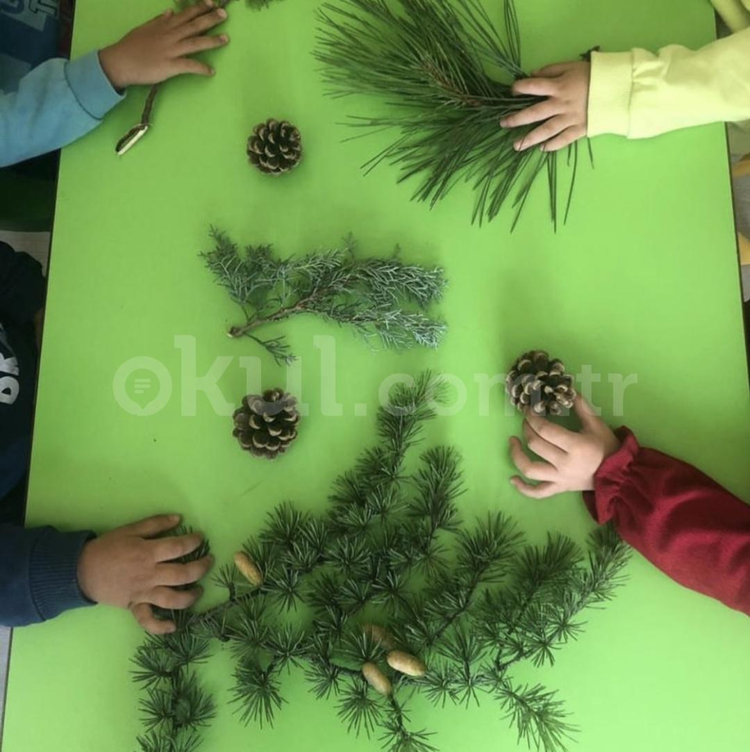 Özel Çankaya Çocuk Dünyası Anaokulu - 28