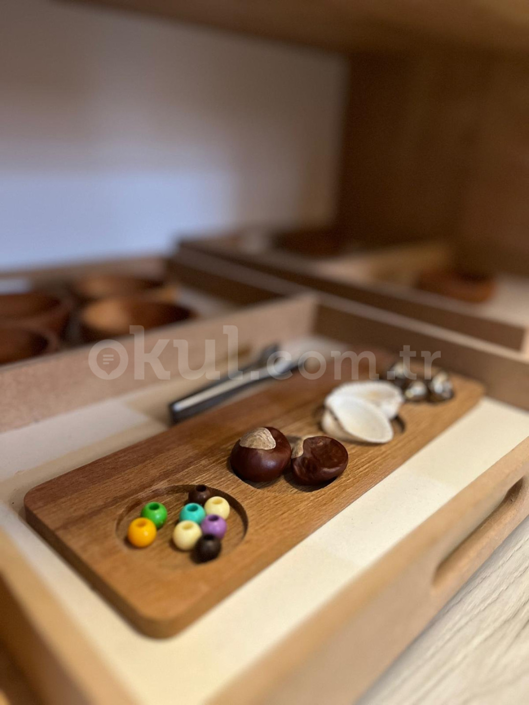 Özel Çankaya Mor Bulut Montessori Anaokulu - 27