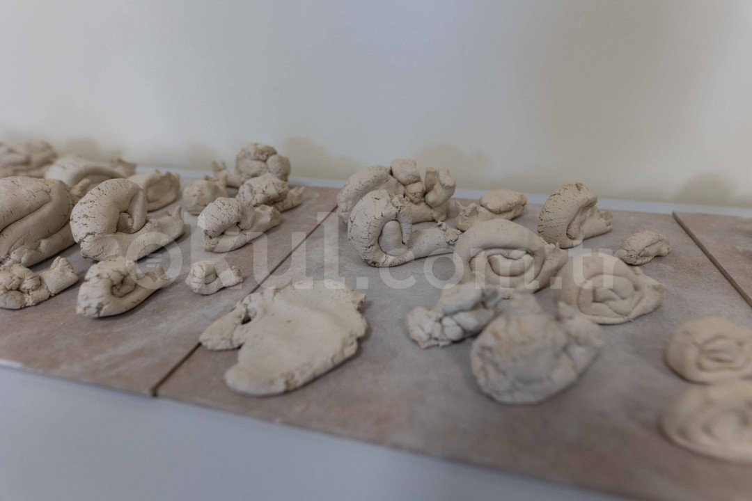 Özel Bahçeşehir Neslin Değişen Sesi Okulları İlkokulu - 11