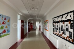 Özel Bahçeşehir Sevinç Koleji İlkokulu - 12